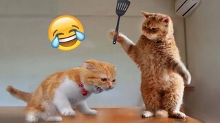 New Funny Animal Videos 2023 😂 - Funniest Pets Cats And Dogs Video 😺😍 | pets family