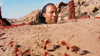 The Rock VS Fire Ants | The Scorpion King | CLIP