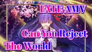 Can you reject the world? | FATE AMV