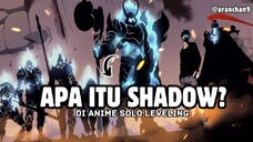 Asal Usul Shadow di Anime Solo Leveling? Yuk, Cari Tahu!"🕵️
