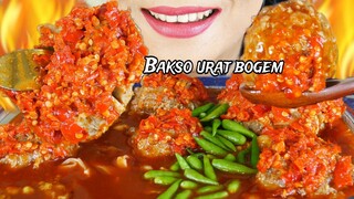 PEDASNYA NGEBAKSO URAT DAN BAKSO BOGEM  KUAH TETELAN PAKE CABE ULEK  | EATING SOUNDS