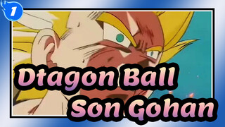 [Dtagon Ball] Envoy of Justice Son Gohan - Unmei no hi tamashii VS tamashii_1