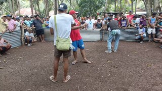 Panalo na Natalo pa.
