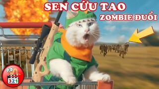 CƯỜI TÉ GHẾ Với 3 Con Mèo KHẮM BỰA Hài Hước Nhất | TOP 3 Best Cat Movies