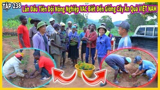 Đội Nông Nghiệp VAC Lần Đầu Biết Đến Các Loại Cây Ăn Quả Của Việt Mam