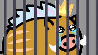 [Mountain Pig Piece] A song "Tears Behind Bars" for my baby Qiqi