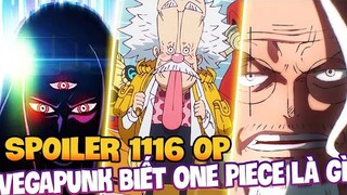 SPOILER 1116 OP | VEGAPUNK BIẾT TẤT CẢ VỀ KHO BÁU ONE PIECE?!