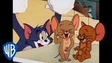 Tom i Jerry po polsku 🇵🇱 | Bądź blisko z przyjaciółmi... | WB Kids