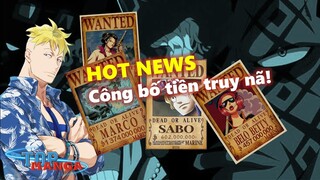 [TIN NÓNG]. Công bố tiền truy nã của Marco, Izo & Quân Cách Mạng!