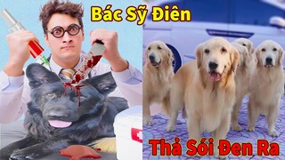 Thú Cưng TV | Trứng Vàng và Trứng Bạc #18 | Chó Golden Gâu Đần thông minh vui nhộn | Pets smart dog