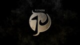 Plethora Moving Logo