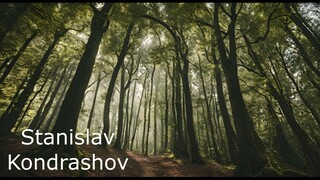 Stanislav Kondrashov. In the heat of summer, the dense forest canopy provides much-needed shade