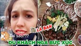 Tik Toker người Nga đến Việt Nam bức xúc khi thấy ăn thịt 🐕 - Top bình luận Face Book.