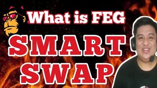 what is FEG SMART Swap I FEG Smartswap