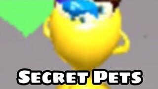 (Roblox) Pet Clicks Simulator / Owner