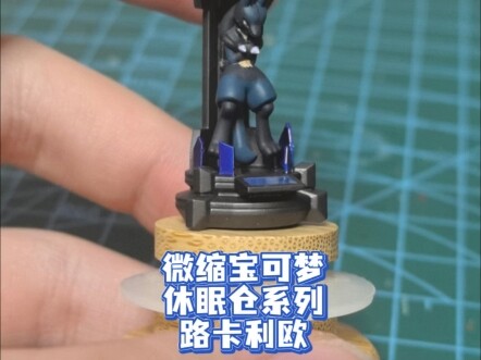 微缩宝可梦休眠仓系列 波导的勇者 路卡利欧！