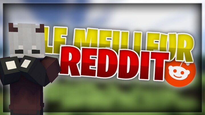 LA COMMU MINECRAFT REDDIT SONT DES FOU !! LE MEILIEUR DE REDDIT MINECRAFT  DE DECEMBRE  - Pinou007