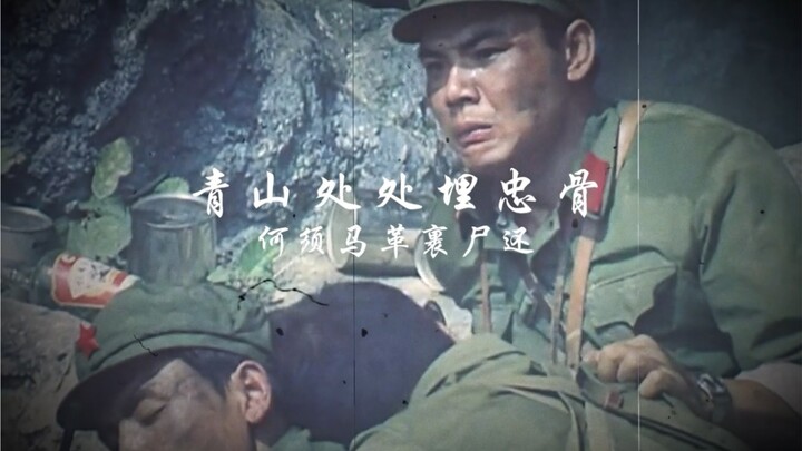 青山处处埋忠骨～