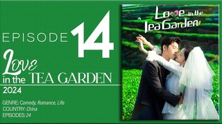 🇨🇳EP14 Love In The Tea Garden (2024)