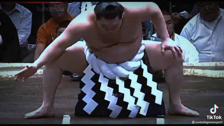 sumo