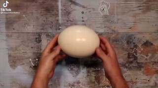 Ostrich egg😏