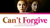 Cha Soo Kyung (차수경) - Can't Forgive (용서 못해) (Color Coded Lyrics Eng/Rom/Han/가사)