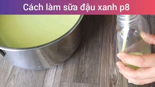 Cách làm sữa đậu xanh p8