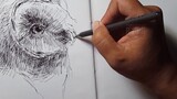 drawing pen menggunakan bolpen sderhana