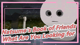 [Natsume's Book of Friends] What Are You Looking for?