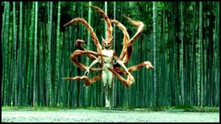 Tuwing 500 taon ay lumalabas ang mga Fox Spirit upang hanapin ang kanilang Immortality sa mundo