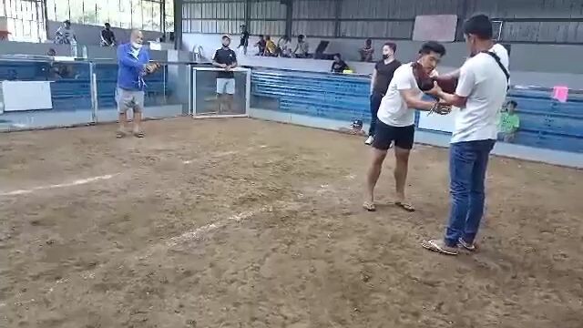 melsim vs bulik