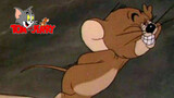 【Funny Videos】Special Dubbing for Tom And Jerry