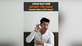 Cách dạy chó để biết tên mình trong vòng 3 nốt nhạc tuitienpet petonesaigon dcgr