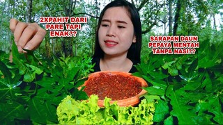 MUKBANG DAUN PEPAYA MENTAH LALAPAN DAUN PEPAYA MENTAH TANPA NASI#mukbanglalapanmentah#papayatree