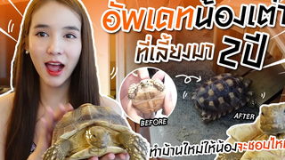 อัพเดท น้องเต่า ของ โยชิ เลี้ยงมา 2 ปี ตัวแค่ไหนแล้ว!