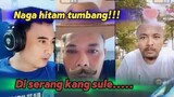 NAGA HITAM TUMBANG KANG SULE MENANG || PERTARUNGAN SENGIT NAGA HITAM BABAK BELUR episode 1