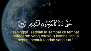 Diantara Tanda Kebesaran Allah ✨