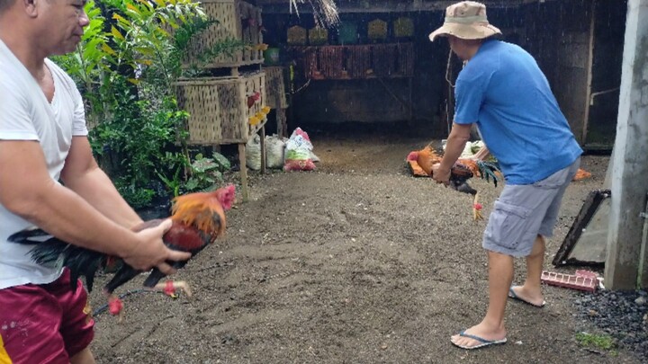 SPAR SA FARM NG KAIBIGAN