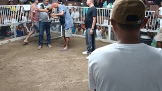 3cock dervy sweater boston fight #3 lose