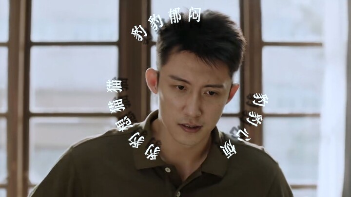 追妻火葬场终章：猫丢了，我错了，但迟了