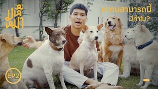 (EN) ความสามารถ ..ธรรมดาๆ ของหมา - มหึหมา EP2