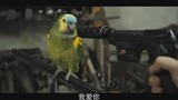 The parrot said "I love you" to the killer and saved the bird's life