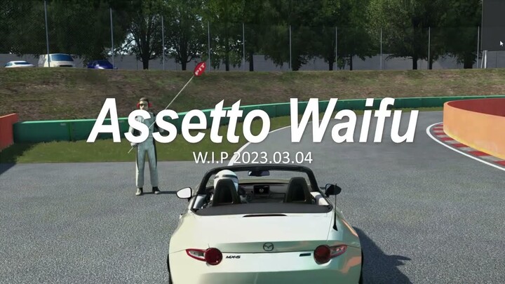 Assetto Waifu : Dynamic Loading
