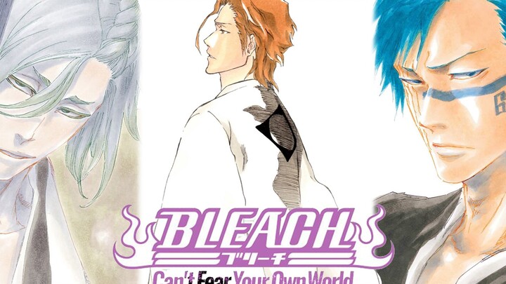 【BLEACH】读完CFYOW小说后，才更了解血战篇的存在价值。