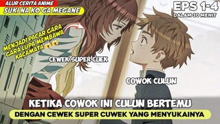 COWOK INI JATUH CINTA KARENA LUPA MEMBAWA KACAMATA - ALUR CERITA ANIME suki na ko ga megane eps 1-4