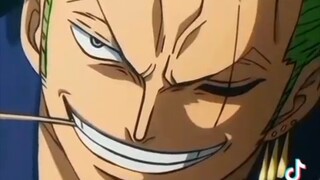 ZORO BEING HANDSOME