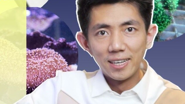 เทคนิคการขยายพันธุ์ปะการังที่ง่ายที่สุดในประวัติศาสตร์ เพิ่มมูลค่าปะการังเป็น 2 เท่า แต่พลิกคว่ำตรงจ