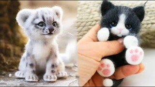 น่ารักมาก! Cutest baby animals Videos Compilation Cute moment of the Animals - Cutest Animals 12