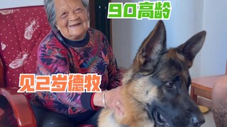 90岁外婆第一次见德牧