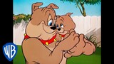 Tom y Jerry en Latino | Spike, el Padre del AÃ±o | WB Kids